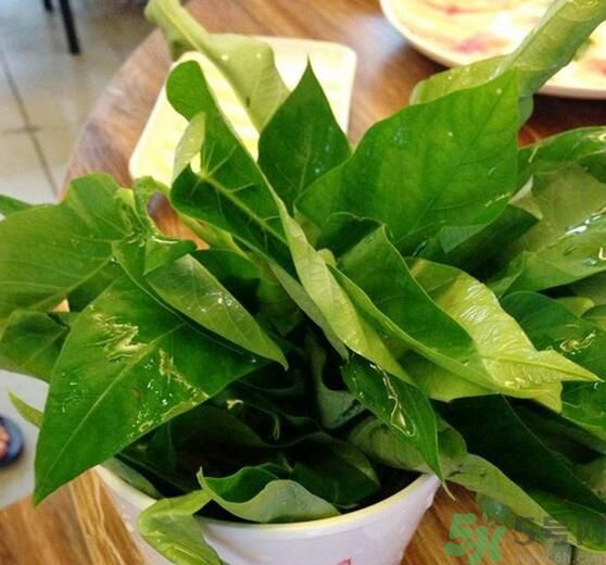 空心菜泡水了還能吃嗎？泡水的空心菜可以吃嗎？