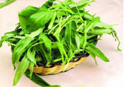 吃空心菜有什么好處？多吃空心菜對身體好嗎？
