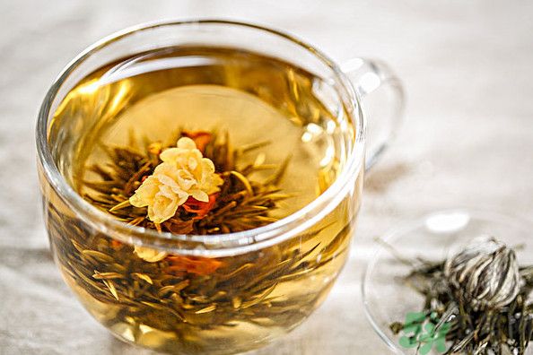 茉莉花綠茶加苦瓜能減肥嗎？茉莉花和苦瓜泡水喝嗎？
