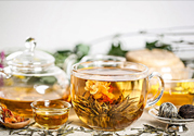 茉莉花綠茶加苦瓜能減肥嗎？茉莉花和苦瓜泡水喝嗎？