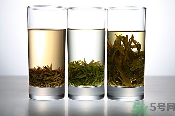 茯苓和苦丁茶能一起泡嗎？茯苓可以和苦丁茶一起喝嗎？