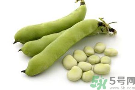 蠶豆是熱性還是涼性？蠶豆是熱性的嗎？