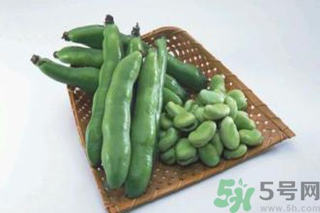 蠶豆是熱性還是涼性？蠶豆是熱性的嗎？