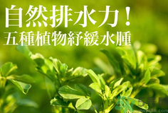 南瓜去水腫嗎？南瓜能消腫嗎？