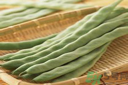 四季豆是發(fā)物嗎？四季豆是不是發(fā)物？