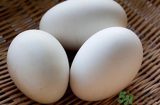鵝蛋可以清火嗎？鵝蛋可以降火嗎？