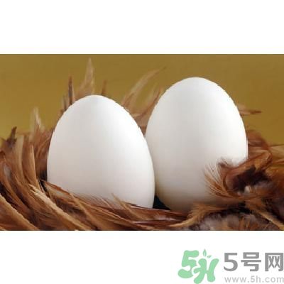 鵝蛋可以清火嗎？鵝蛋可以降火嗎？