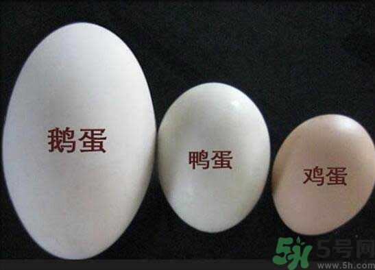 鵝蛋和鴨蛋哪個(gè)好？鵝蛋和鴨蛋哪個(gè)清火效果好？