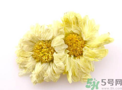 菊花晶能喝綠豆湯一起喝嗎？菊花晶和綠豆湯可以一起喝嗎？