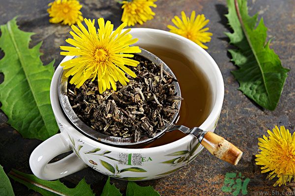 蒲公英泡茶有什么功效？蒲公英泡茶的功效是什么？