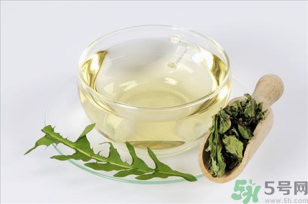蒲公英根泡茶好還是蒲公英葉泡茶好？蒲公英根和葉哪個效果好？