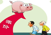 豬肉價(jià)格為什么驚動世界？豬肉價(jià)格一直上漲的原因是什么？