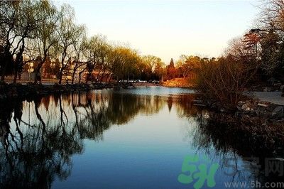 清華取消北大培文杯非原創(chuàng)考生自招資格是怎么回事？