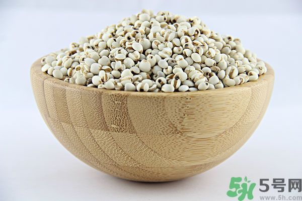 夏天吃薏米好嗎？夏天吃薏米有什么好處？
