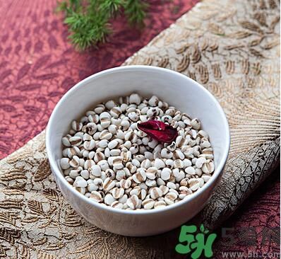 夏天吃薏米好嗎？夏天吃薏米有什么好處？