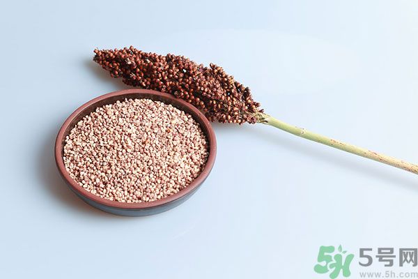 夏天吃高粱好嗎？夏天吃高粱有什么好處？