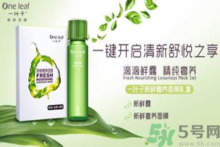 一葉子鮮補(bǔ)水保濕眼霜適合什么膚質(zhì)？