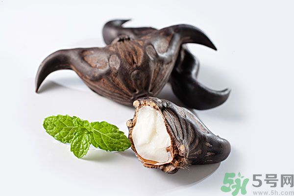 寶寶可以吃菱角嗎？寶寶多大可以吃菱角？