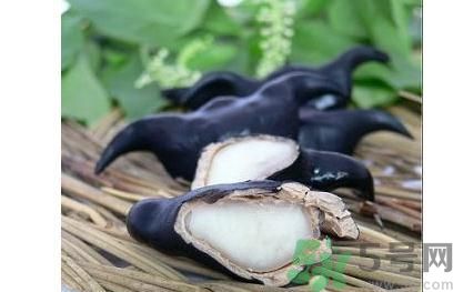 菱角怎么剝完整？菱角剝不開怎么辦？