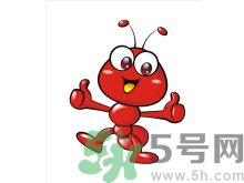 家里有螞蟻怎么辦？驅(qū)除螞蟻的方法是什么？