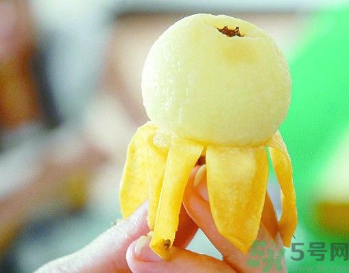 枇杷核能吃嗎?枇杷核的功效與作用及食用方法 枇杷核能吃嗎?枇杷核的功效與作用及食用方法