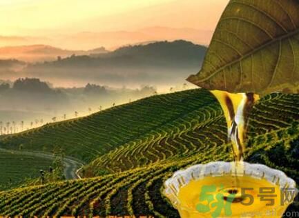 茶籽油可以天天吃嗎？可以每天用茶籽油炒菜嗎？