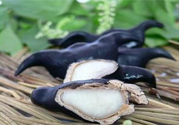 菱角汁染色怎么辦？菱角汁怎么洗掉？