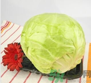 包菜是涼性的嗎？包菜是涼性還是熱性的？