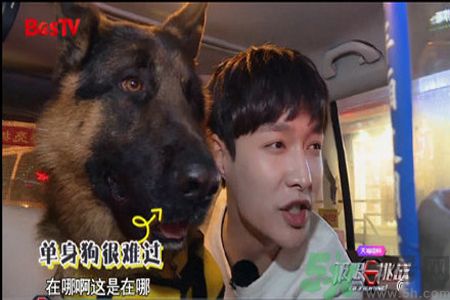 超八成男女患戀愛(ài)恐懼癥 戀愛(ài)恐懼癥的原因 超八成男女患戀愛(ài)恐懼癥 戀愛(ài)恐懼癥的原因