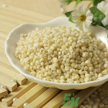 高粱米是涼性嗎？高粱米是涼性還是熱性？