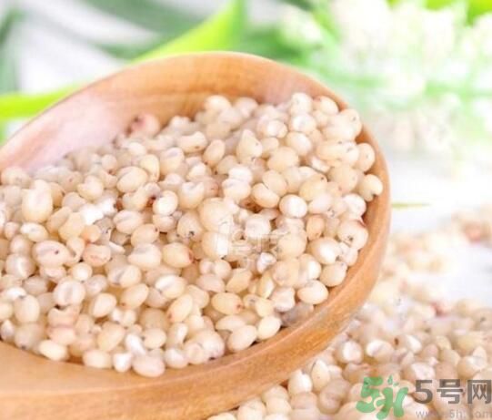 高粱米是發(fā)物嗎？高粱米是不是發(fā)物？