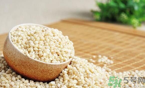 高粱米是發(fā)物嗎？高粱米是不是發(fā)物？
