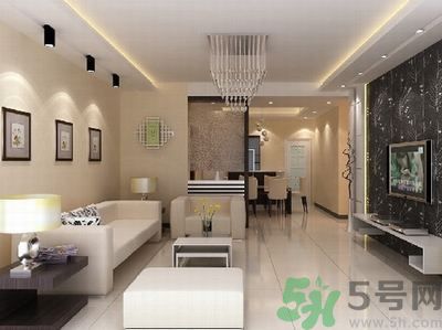 家中有蟑螂要怎么辦？怎么消滅家中的蟑螂？