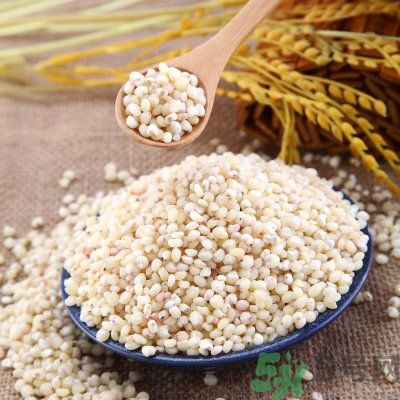 高粱米能做飯嗎？高粱米做飯好嗎？