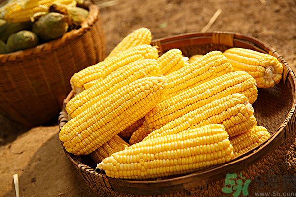 南瓜和玉米可以一起吃嗎？南瓜和玉米一起吃好嗎？