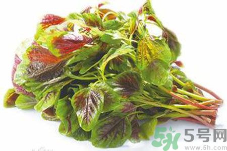 孕婦可以吃漢菜嗎？懷孕可以吃漢菜嗎？