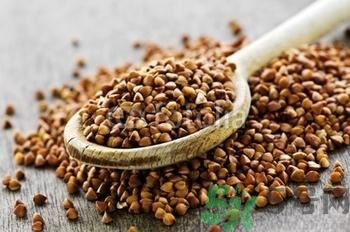 蕎麥有什么功效？蕎麥的功效是什么？