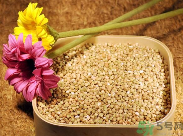 蕎麥能和糯米一起吃嗎？蕎麥和糯米一起吃好嗎？