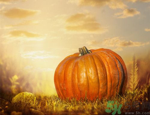 南瓜和芋頭可以做什么?南瓜和芋頭可以一起吃嗎 南瓜和芋頭可以做什么?南瓜和芋頭可以一起吃嗎