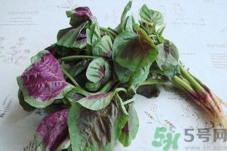 寶寶可以吃漢菜嗎？寶寶吃漢菜好嗎？