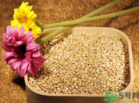 蕎麥?zhǔn)前l(fā)物嗎？蕎麥?zhǔn)遣皇前l(fā)物？