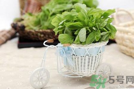 月經(jīng)期間可以吃漢菜嗎？來月經(jīng)可以吃漢菜嗎？
