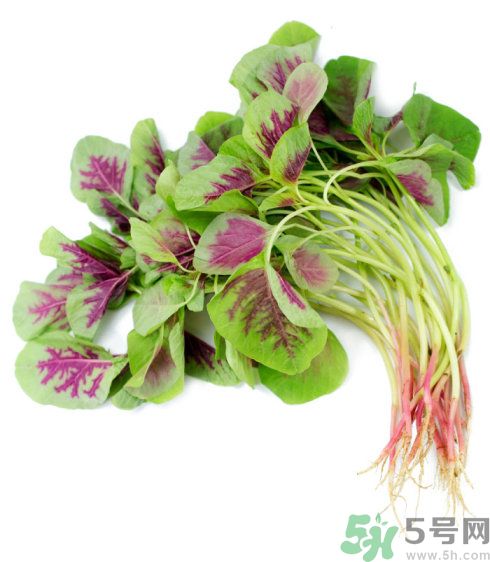 月經(jīng)期間可以吃漢菜嗎？來月經(jīng)可以吃漢菜嗎？