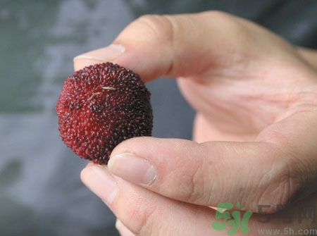楊梅里面的蟲(chóng)子能吃嗎？楊梅里面的蟲(chóng)子吃了會(huì)怎么樣？