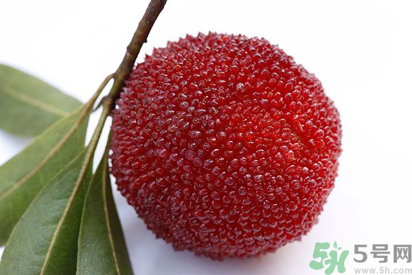 楊梅里面的蟲(chóng)子能吃嗎？楊梅里面的蟲(chóng)子吃了會(huì)怎么樣？