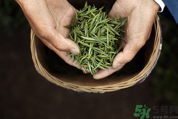 吃魚(yú)的時(shí)候能喝茶嗎？吃魚(yú)可以喝茶嗎？