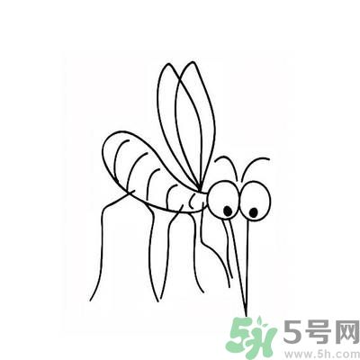 夏天家中有蒼蠅怎么辦？夏天如何滅蒼蠅？