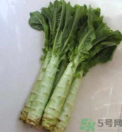 筍子是不是發(fā)物？筍子是發(fā)物嗎？