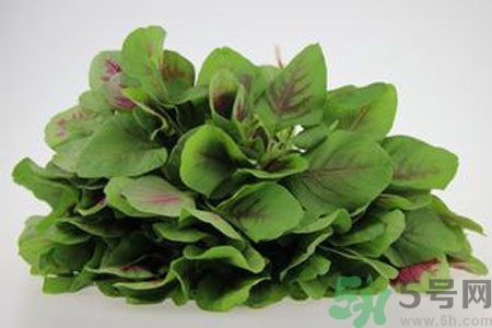 莧菜可以生吃嗎？莧菜生吃了會(huì)怎樣？