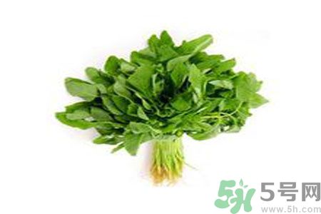 莧菜可以生吃嗎？莧菜生吃了會怎樣？